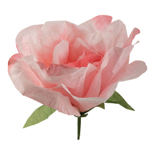 Tête de rose en papier, avec tige courte     Taille: Ø 50cm    Color: rose