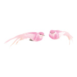 Vögel mit Clip, 2 Stk./set, Größe: 4x18cm, Farbe: pink