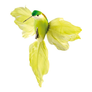 Kolibri mit Clip Styrofoam/Federn     Groesse: 18x20cm - Farbe: grün