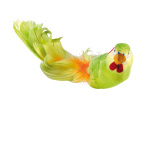 Perruche avec clip styrofoam, plumes     Taille: 5x26cm...