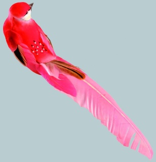 Vogel mit Clip,  Größe:  Farbe: rot