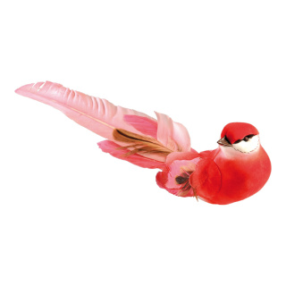 Vogel mit Clip Styrofoam/Federn     Groesse: 4x24cm - Farbe: rot