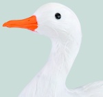 Goose, standing styrofoam with feathers     Size: 27x34cm    Color: white