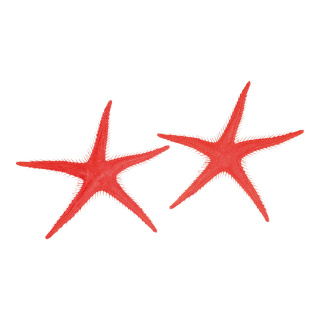 Étoiles de mer 2pcs./sachet plastique Color: rouge Size: Ø 25cm