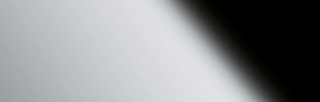 Wanddekorplatte DM Silver/White                             qm: 2  Abmessung [mm]: 2000x1000x1 Wandpaneel-Blickfang  in mehreren Ausführungen