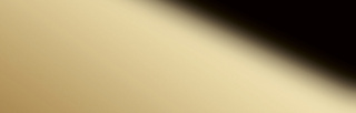 Wanddekorplatte DM Gold 30 qm: 2,6  Abmessung [mm]: 2600x1000x1 Wandpaneel-Blickfang  in mehreren Ausführungen