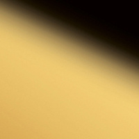 Wanddekorplatte DM Gold qm: 2  Abmessung [mm]: 2000x1000x2 Wandpaneel-Blickfang  in mehreren Ausführungen