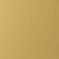 Wanddekorplatte DM Brass brushed matt AR qm: 2,6  Abmessung [mm]: 2600x1000x1 Wandpaneel-Blickfang  in mehreren Ausführungen