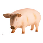 Pig  - Material: synthetic resin - Color: beige - Size:...