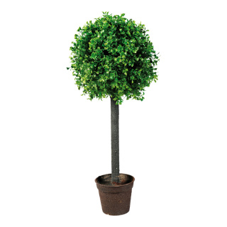 Boxwood in pot  - Material: plastic - Color: green - Size: 60x25cm