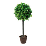 Boxwood in pot  - Material: plastic - Color: green -...