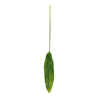 Dracaena leaf with raindrops, artificial silk, on stem     Size: width 13cm, 100cm    Color: green