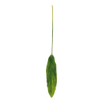 Dracaena leaf with raindrops, artificial silk, on stem...