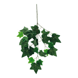 Ivy twig with 25 leaves, artificial silk     Size: 70x40cm    Color: green