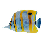 Tropical fish printed double-sided, wood, with hanger...