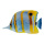 Poisson  tropical  imprimé des 2 côtés pour suspendre Color: bleu/jaune Size: 20x12cm