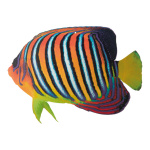 Tropenfisch,  Größe: 20x12cm, Farbe: gelb/schwarz