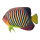 Tropical fish printed double-sided, wood, with hanger     Size: 20x12cm    Color: multicoloured