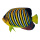Tropenfisch beidseitig bedruckt, Holz, mit Aufhänger     Groesse: 50x30cm - Farbe: gelb/schwarz