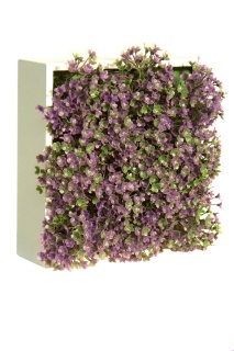 Blumenbox VERBENA für Innen und Außen, 20x20x10cm.