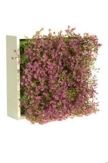 Blumenbox GIPSO MORADO für Innen und Außen, 20x20x12cm