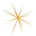 Sputnik star  - Material: for assembling plastic shiny -...