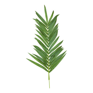Palmwedel aus Kunstseide     Groesse: 50x120cm - Farbe: grün