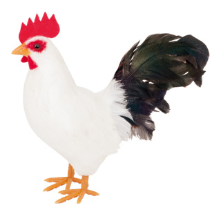 Rooster, standing styrofoam     Size: 15cm    Color: white/black