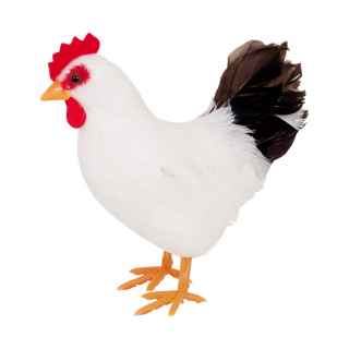 Hen standing  - Material: styrofoam with feather - Color: white/black - Size:  X 15cm