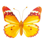 Schmetterling mit Clip,  Größe: 20x30cm, Farbe: orange