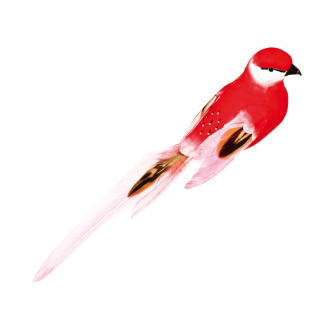 Vogel mit Clip Styrofoam mit Federn     Groesse: 40x7x7cm    Farbe: rot