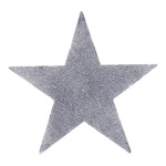 Stern,  Größe: Ø 20cm, Farbe: silber
