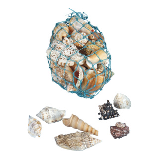 Shells 300g/bag - Material: natural material - Color: natural-coloured - Size:  X 6cm