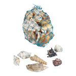 Muscheln 300gr./Btl., Naturmaterial     Groesse: 6cm -...