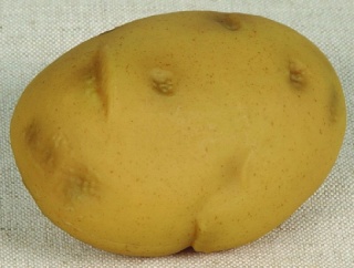 Kartoffel,  Größe: 7x10cm, Farbe: braun   #