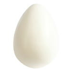 egg  - Material: plastic - Color: white - Size: 20x30cm