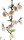 Branche fleurs du pêcher soie artificielle     Taille: 90cm    Color: blanc