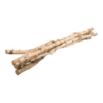 Birch tree branches 6-fold - Material:  - Color:...