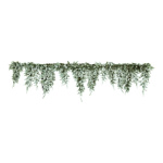 Noble fir frieze snowed length of cones: 50 60 70cm -...