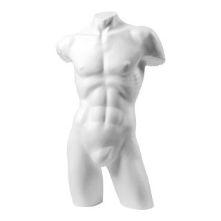 Male torso Antique  - Material: styropor - Color: white - Size:  X 100cm