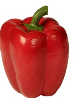 Paprika natural rot Ø 8 x 10 cm