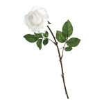 Rose Kunstseide     Groesse: 60cm - Farbe: weiß