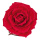 Tête de rose 28cm tige, mousse     Taille: Ø 20cm    Color: rouge