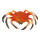 Crab plastic     Size: 22x20cm    Color: orange/black