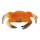 Krabbe Kunststoff     Groesse: 20x13cm - Farbe: orange/schwarz #