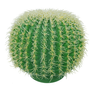 Barrel cactus plastic     Size: Ø 30cm    Color: green