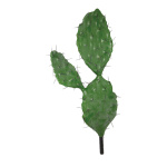 Feigenkaktus, 3-fach, Größe: 30cm breit, Farbe: grün