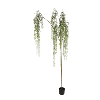 Weidenbaum im Topf Kunststoff Größe:Topf 15x13,5cm, 215cm Farbe: grün    #