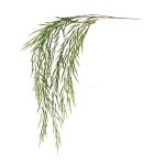 Willow branch  - Material: plastic - Color: green - Size:...