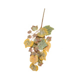Branche de feuilles de vigne 35 feuilles plastique Color:...
